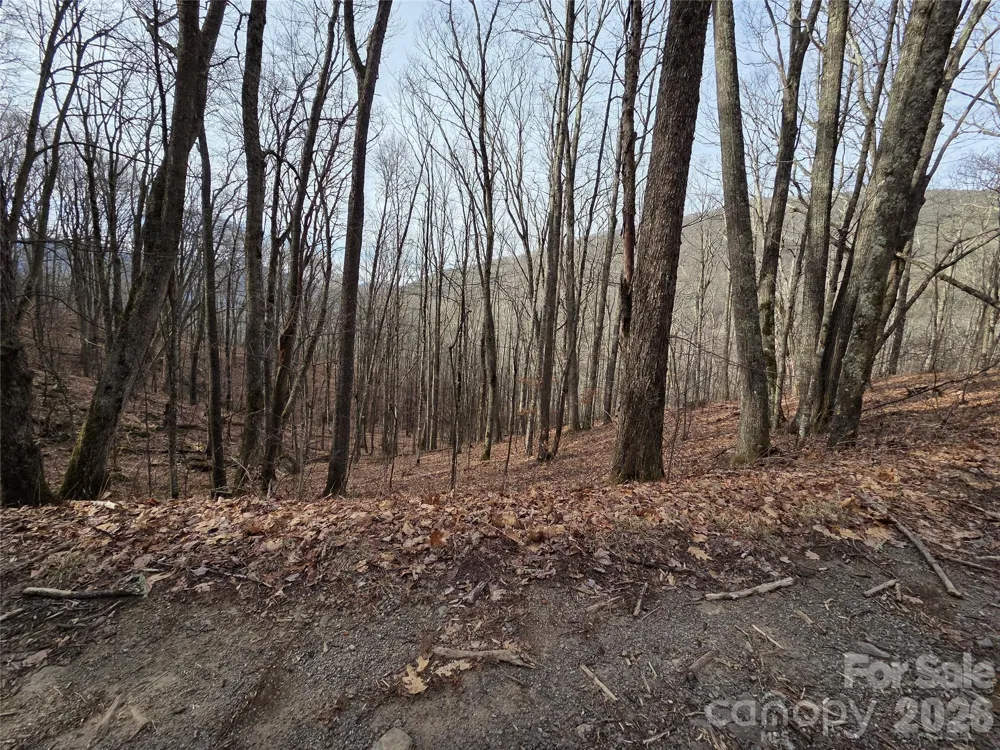 180 Goat House Way Maggie Valley, NC 28751