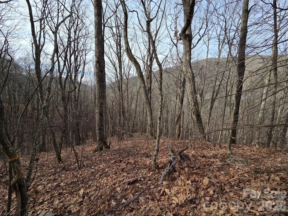 180 Goat House Way Maggie Valley, NC 28751