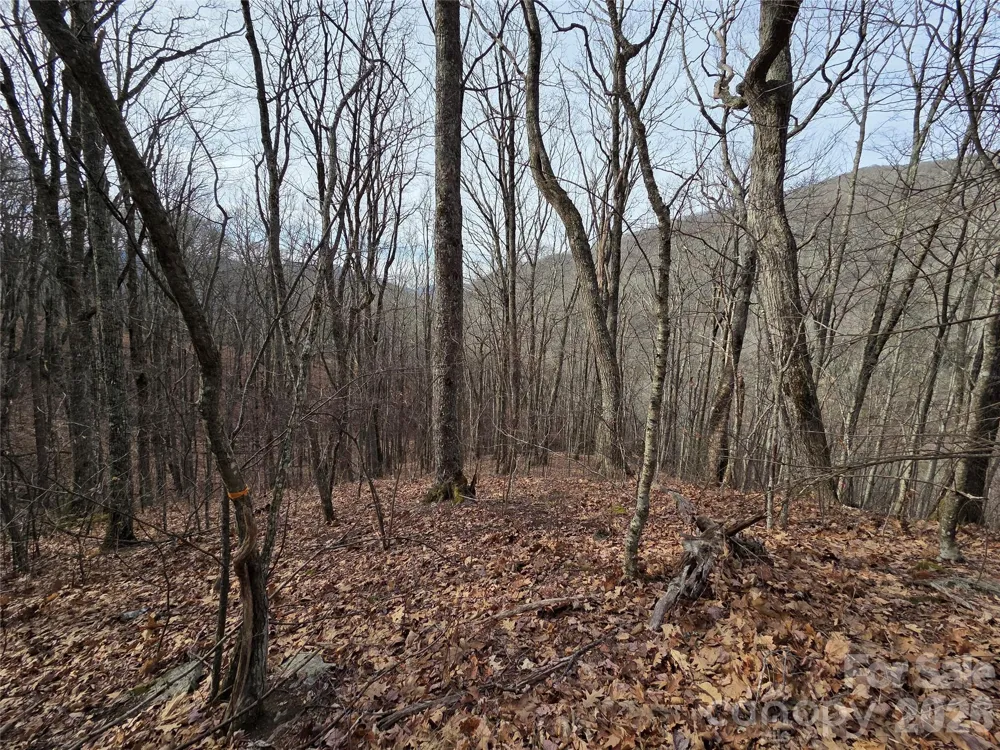 180 Goat House Way Maggie Valley, NC 28751