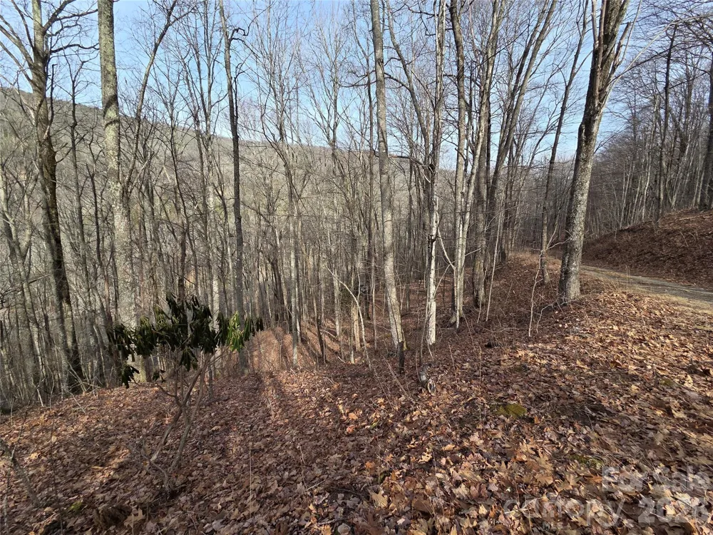 180 Goat House Way Maggie Valley, NC 28751