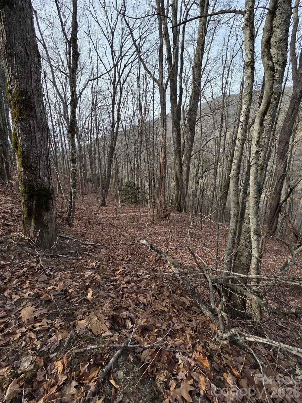 180 Goat House Way Maggie Valley, NC 28751