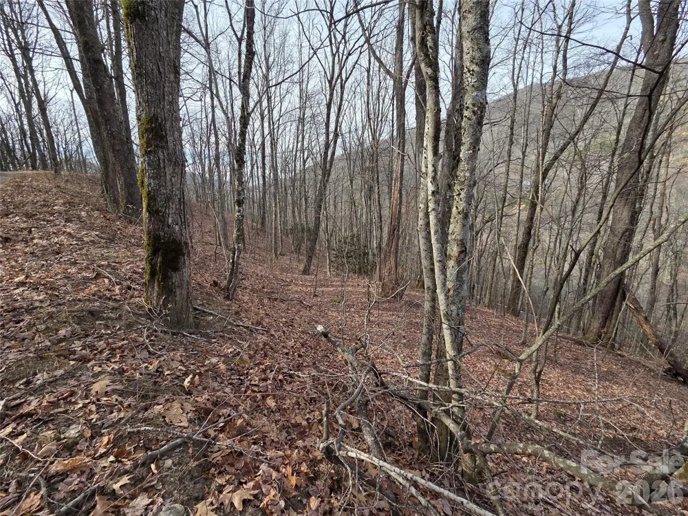 180 Goat House Way Maggie Valley, NC 28751