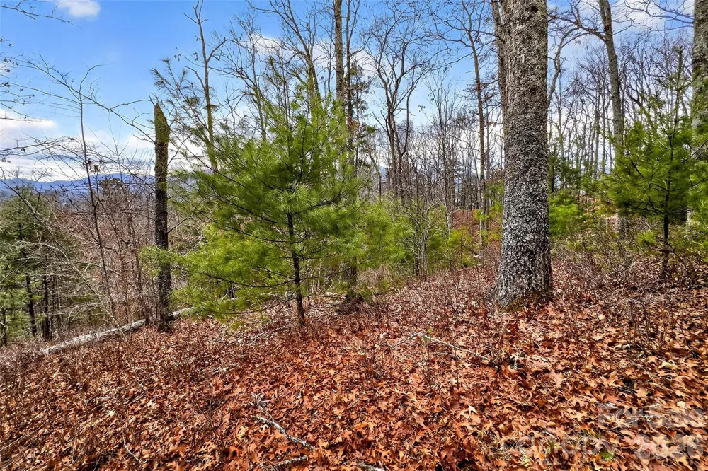 149 Turkey Trot Trail #17 Marshall, NC 28753