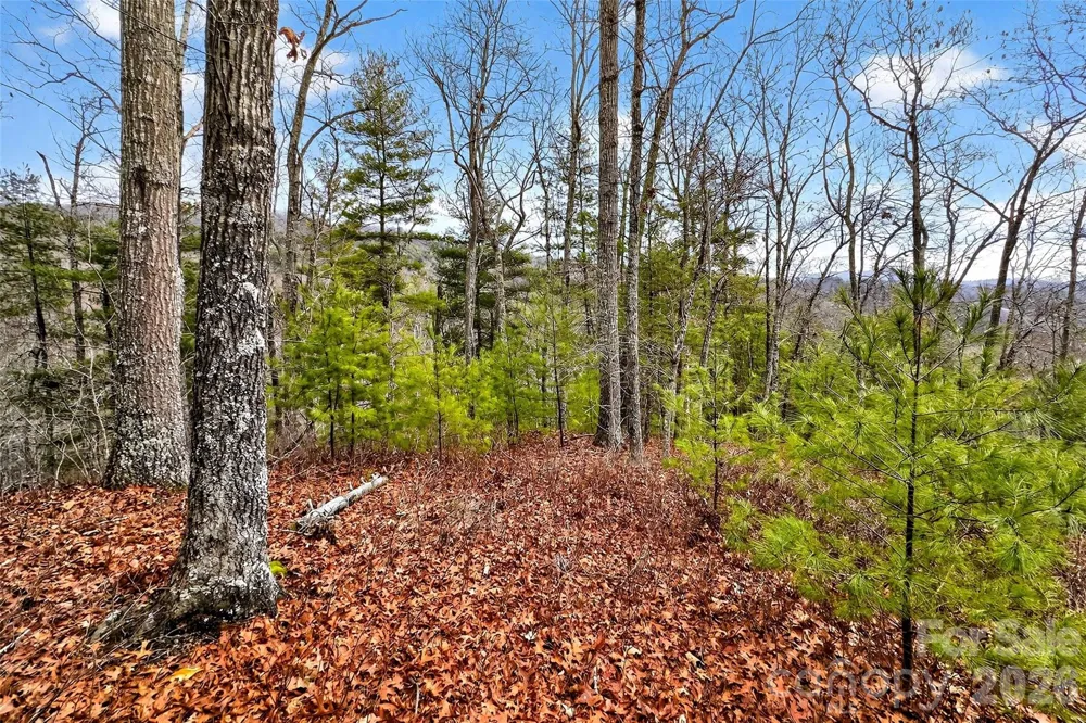 149 Turkey Trot Trail #17 Marshall, NC 28753