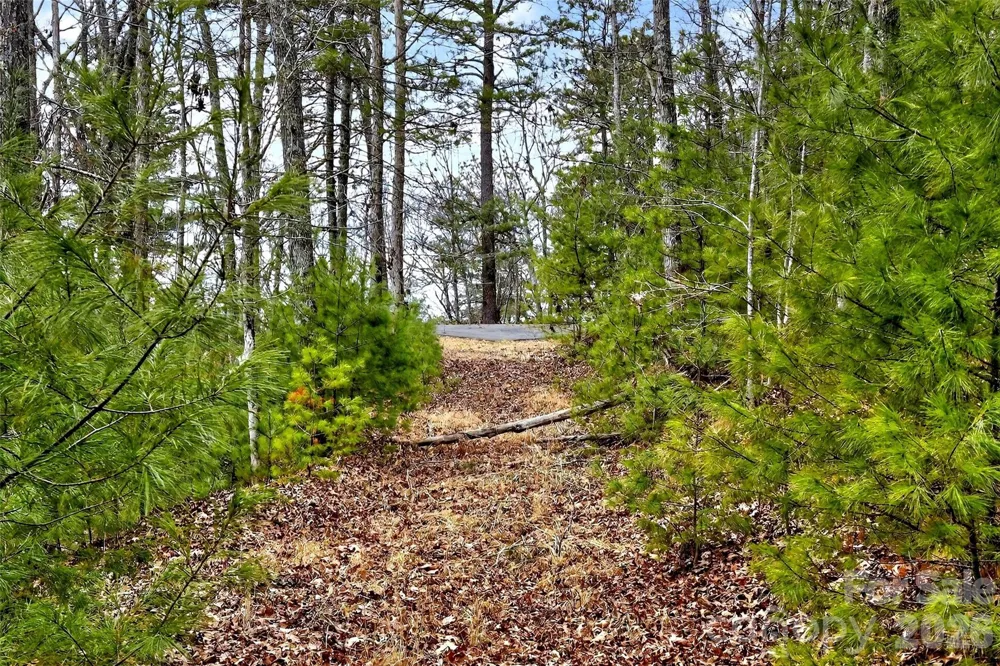 149 Turkey Trot Trail #17 Marshall, NC 28753