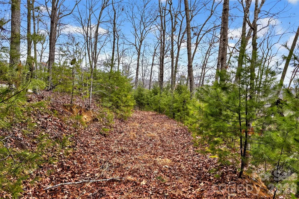 149 Turkey Trot Trail #17 Marshall, NC 28753
