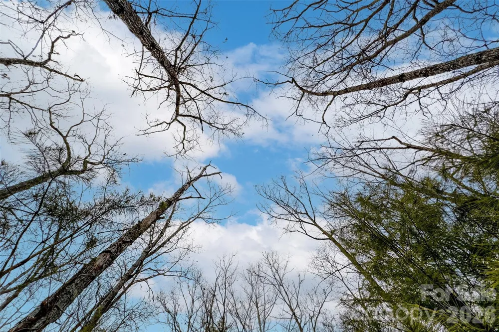 149 Turkey Trot Trail #17 Marshall, NC 28753