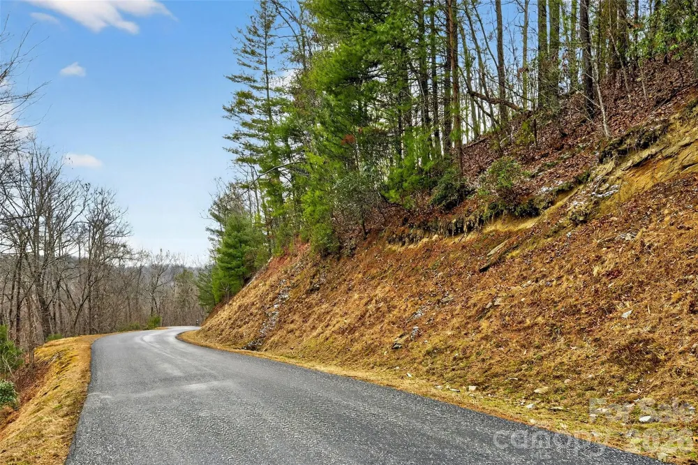 149 Turkey Trot Trail #17 Marshall, NC 28753