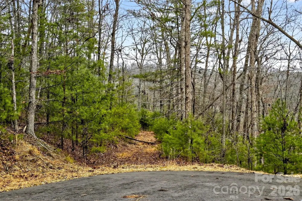 149 Turkey Trot Trail #17 Marshall, NC 28753
