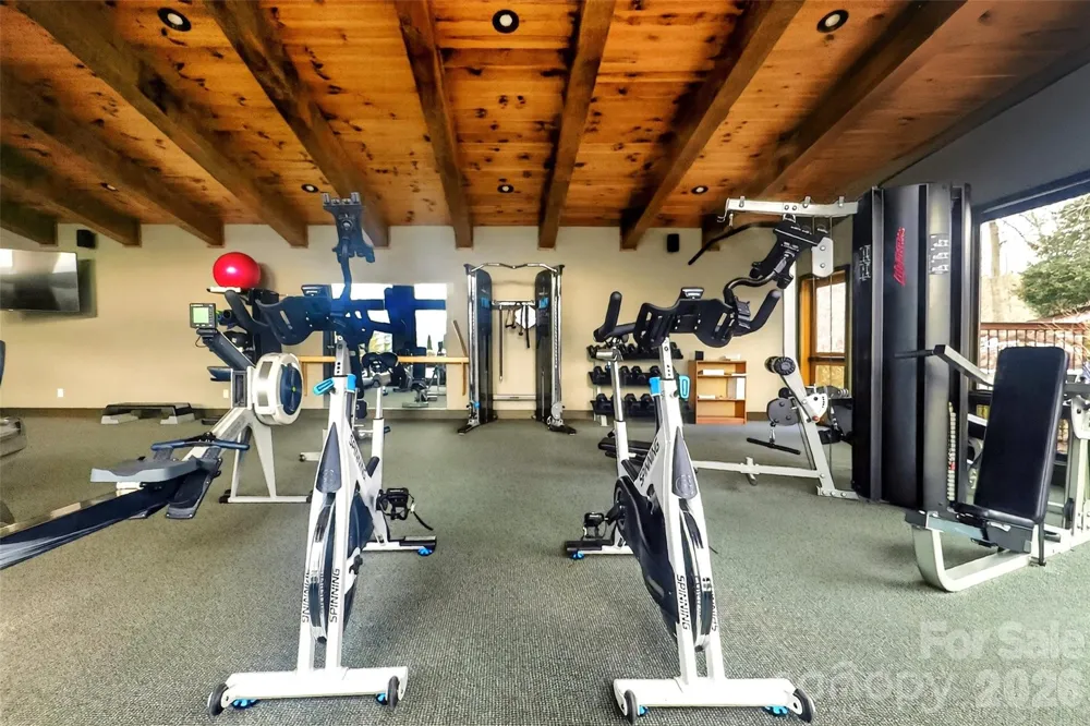 149 Turkey Trot Trail #17 Marshall, NC 28753