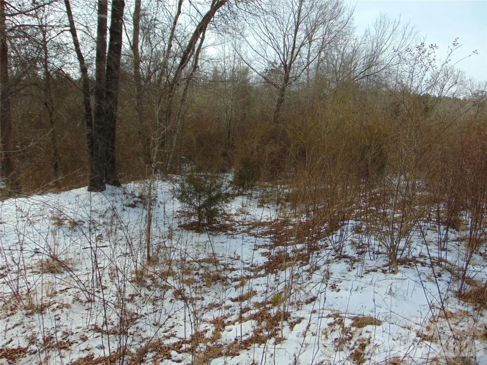 00 Oakley Road Cedar Grove, NC 27231
