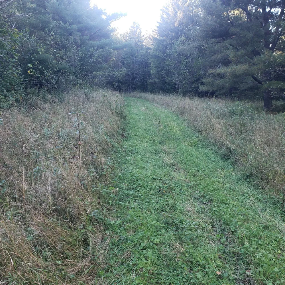 TBD Gamma rd Kabetogama, MN 56669
