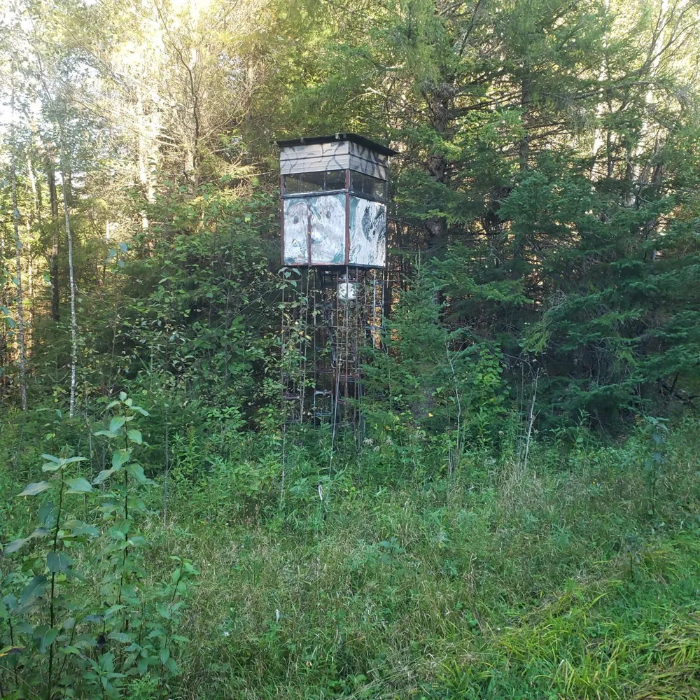 TBD Gamma rd Kabetogama, MN 56669