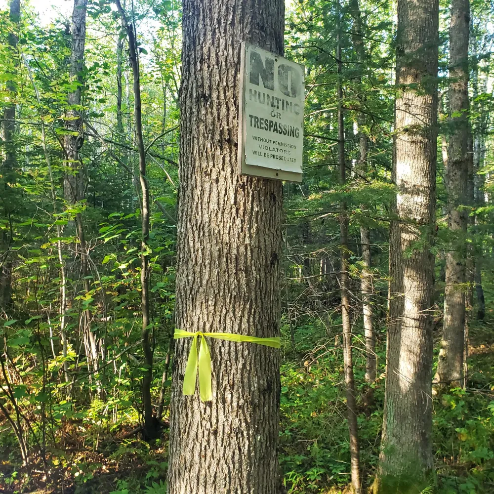 TBD Gamma rd Kabetogama, MN 56669