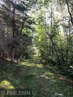 TBD Gamma rd Kabetogama, MN 56669
