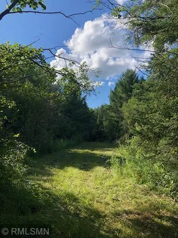 TBD Gamma rd Kabetogama, MN 56669