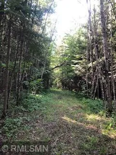 TBD Gamma rd Kabetogama, MN 56669