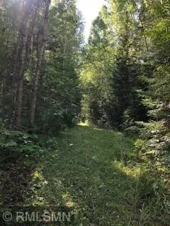 TBD Gamma rd Kabetogama, MN 56669