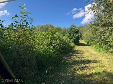TBD Gamma rd Kabetogama, MN 56669