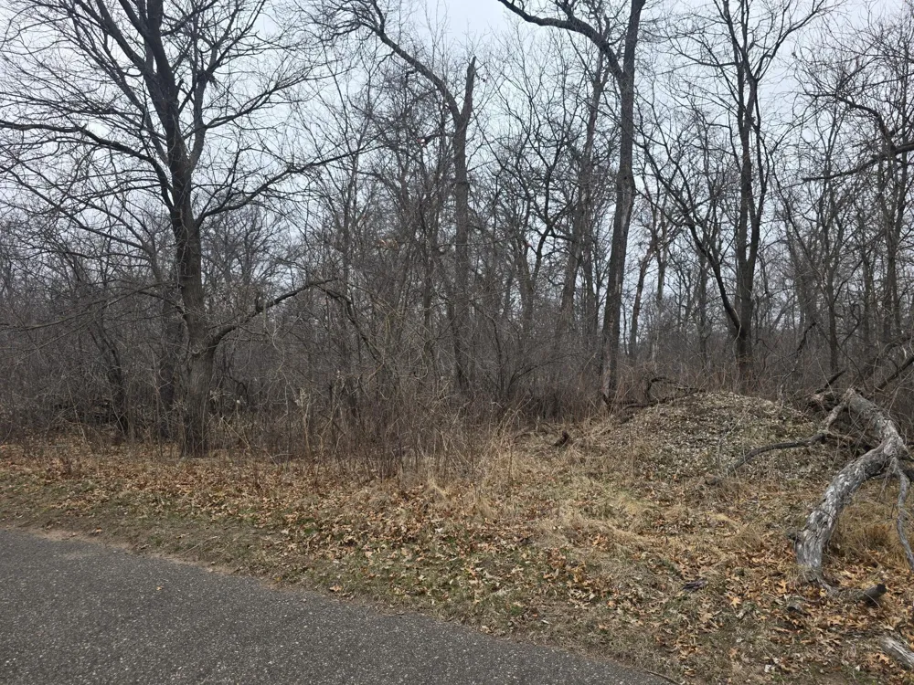 L1,B2 288th Avenue NW Princeton, MN 55398