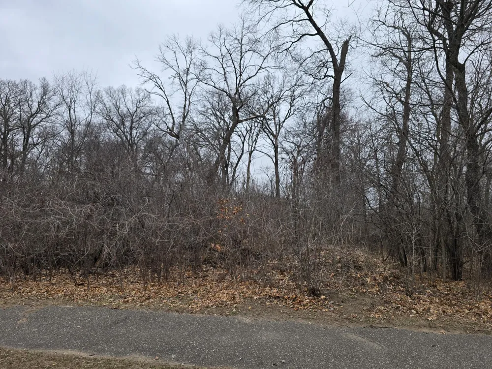 L1,B2 288th Avenue NW Princeton, MN 55398