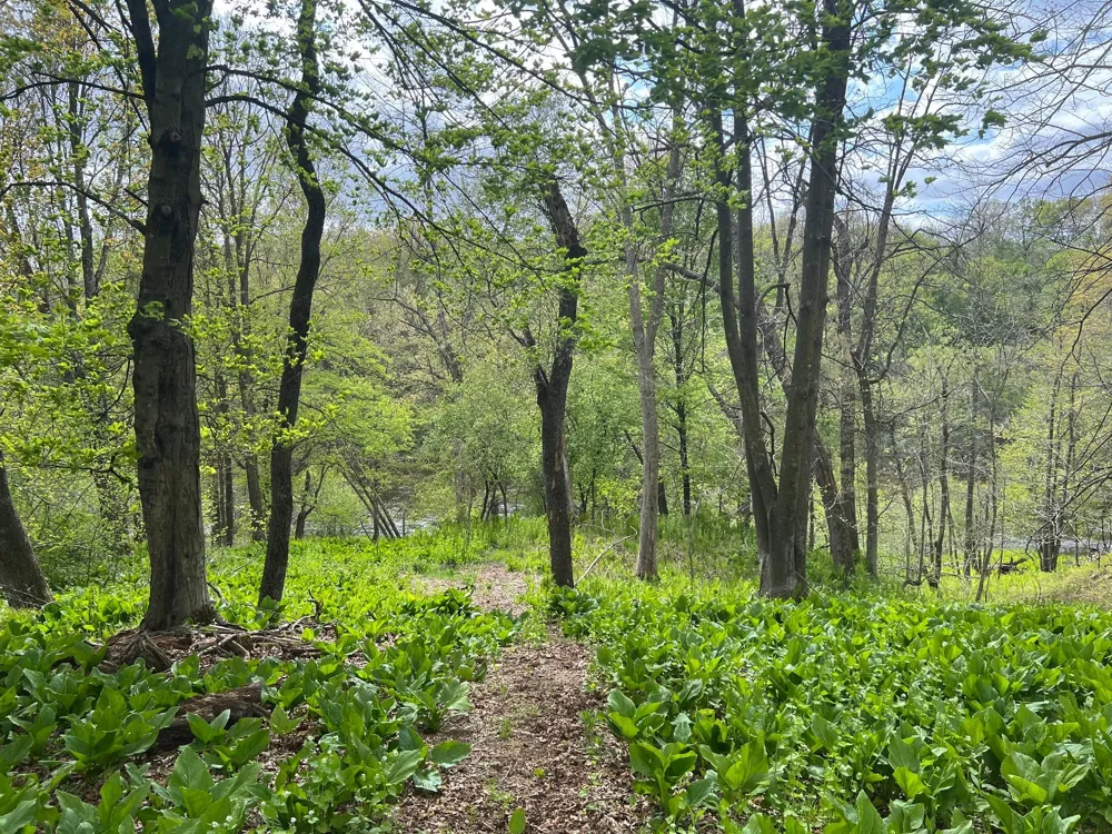 TBD River Heights Road Menomonie, WI 54751