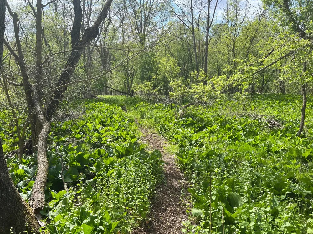 TBD River Heights Road Menomonie, WI 54751