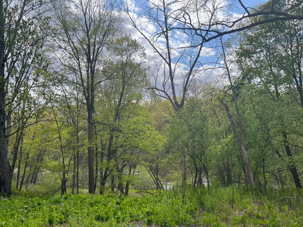 TBD River Heights Road Menomonie, WI 54751