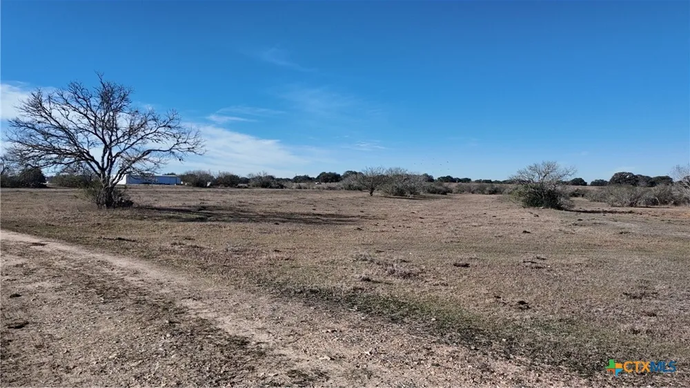 3382 E FM 1961 Goliad, TX 77963