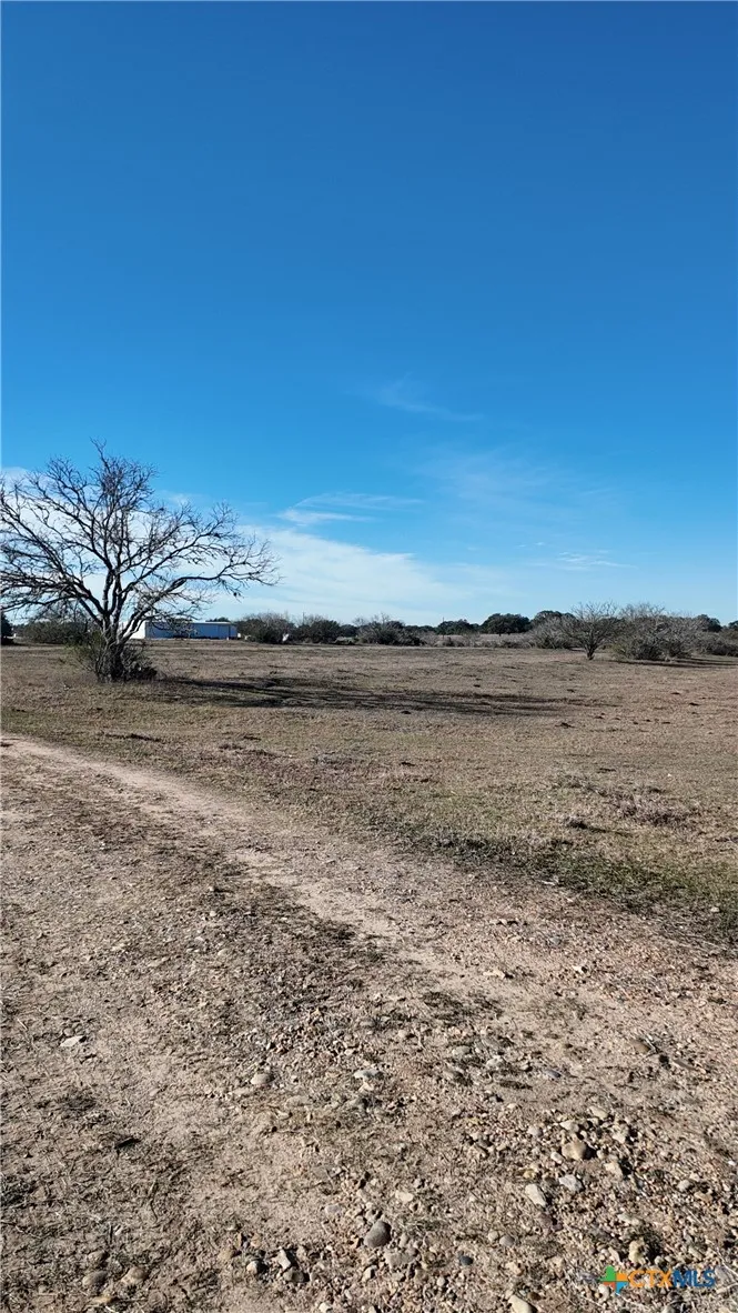 3382 E FM 1961 Goliad, TX 77963