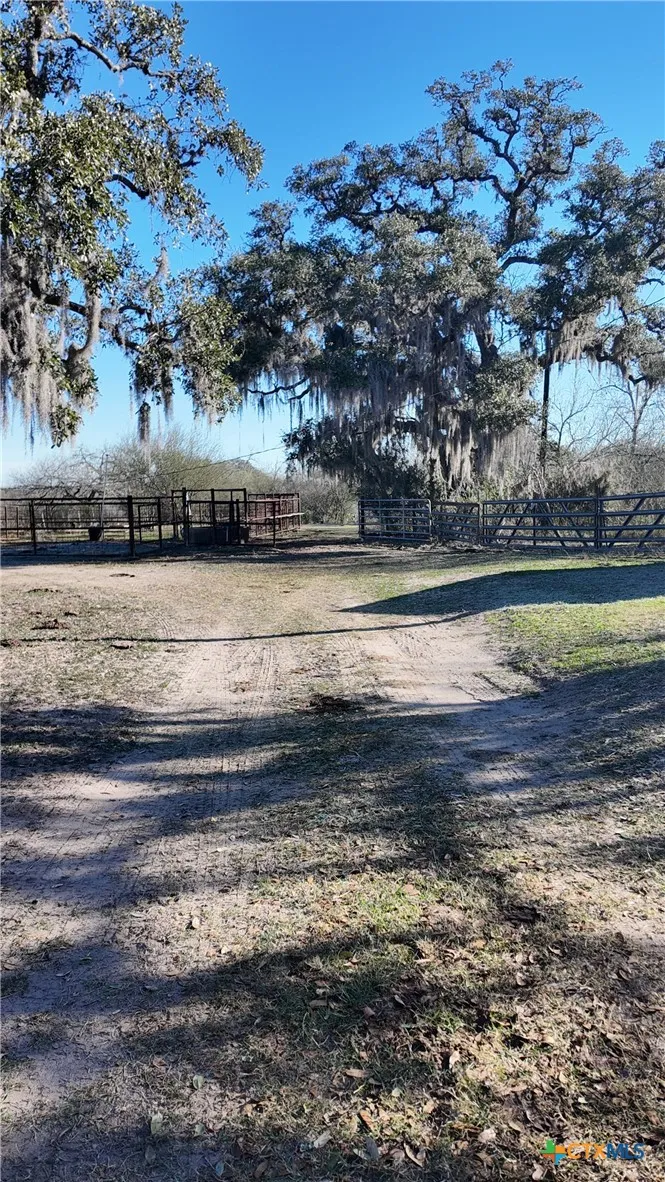 3382 E FM 1961 Goliad, TX 77963