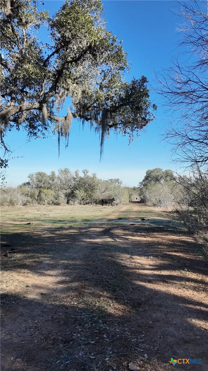 3382 E FM 1961 Goliad, TX 77963
