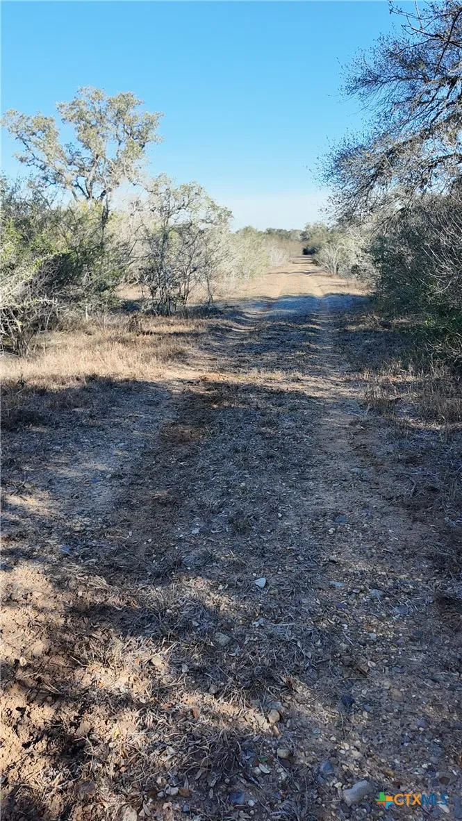 3382 E FM 1961 Goliad, TX 77963