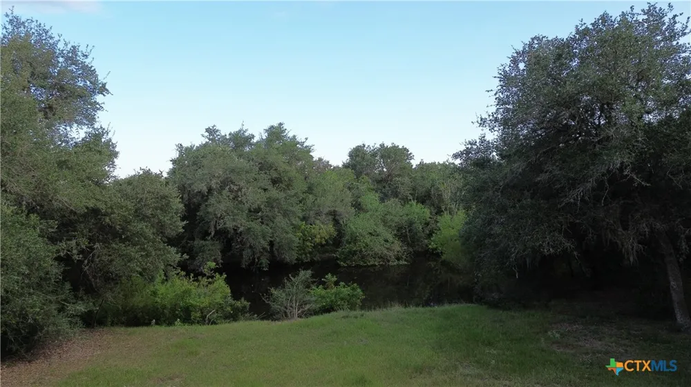 3382 E FM 1961 Goliad, TX 77963