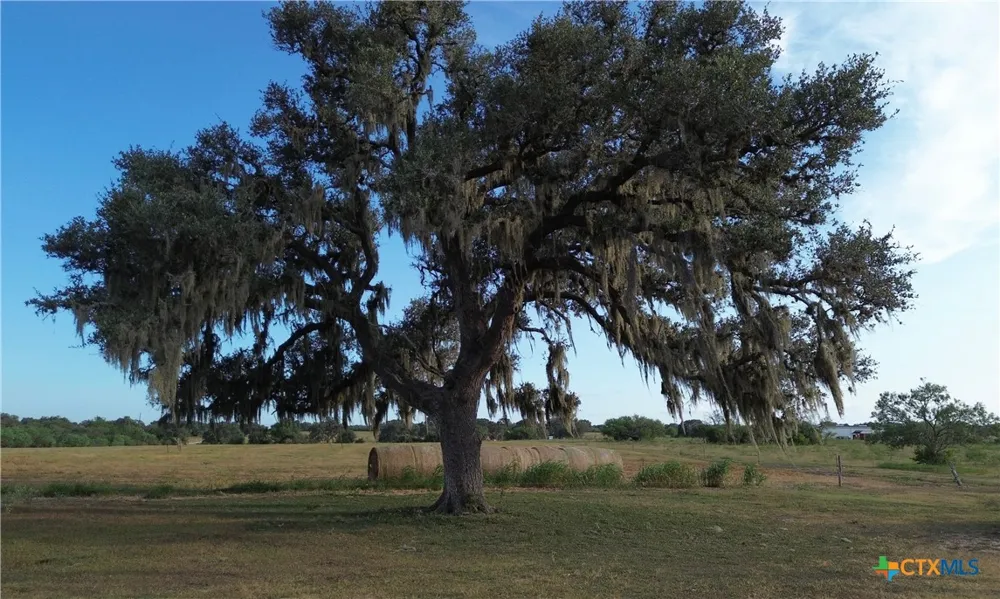 3382 E FM 1961 Goliad, TX 77963