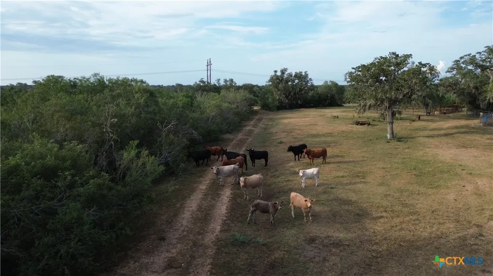 3382 E FM 1961 Goliad, TX 77963