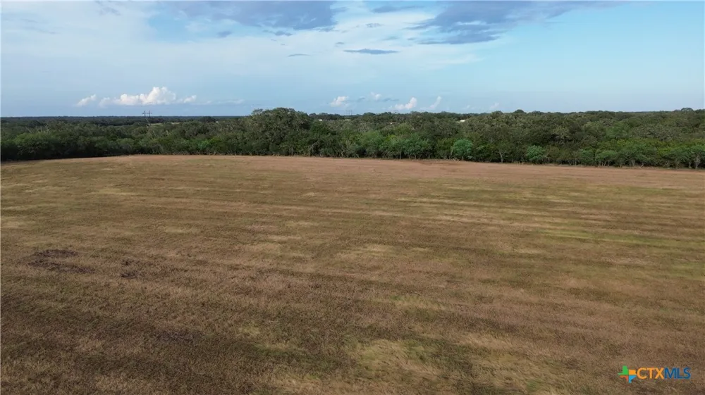3382 E FM 1961 Goliad, TX 77963