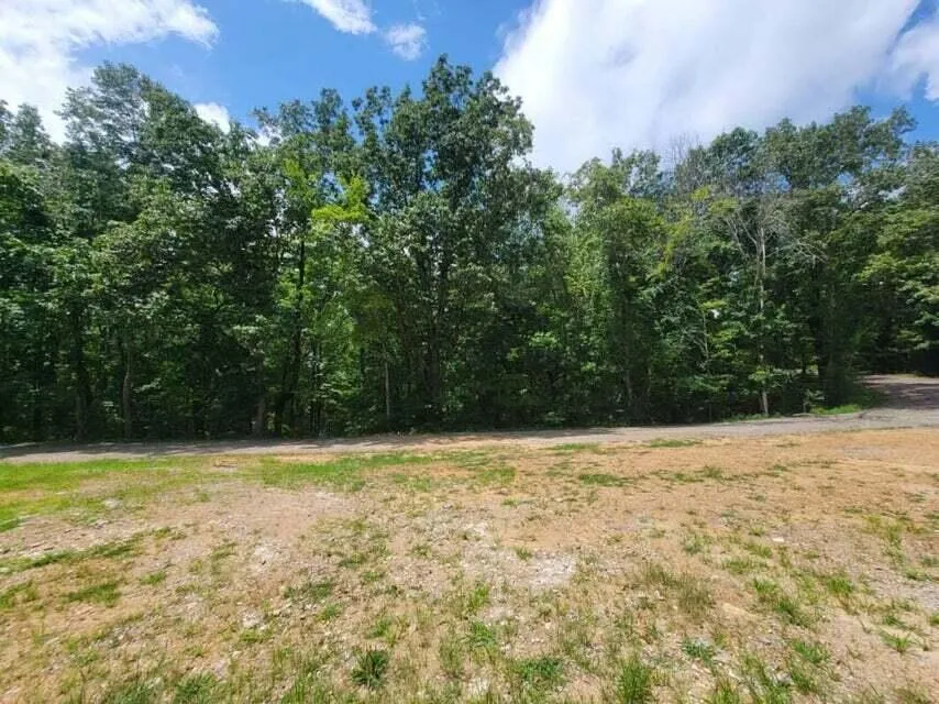140 Mary Brown Lane Rockwood, TN 37854