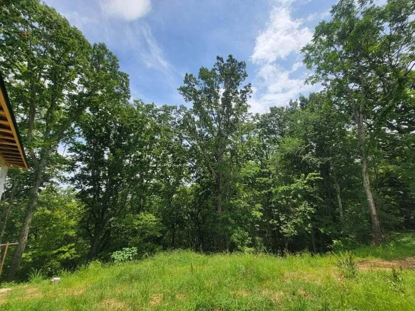 140 Mary Brown Lane Rockwood, TN 37854