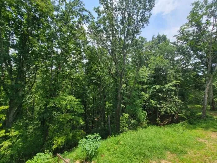 140 Mary Brown Lane Rockwood, TN 37854