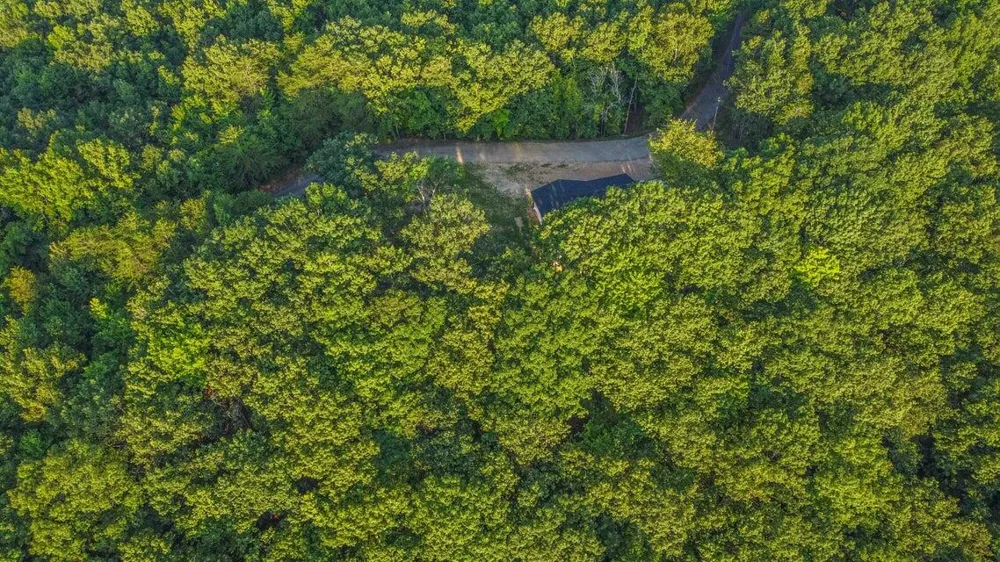 140 Mary Brown Lane Rockwood, TN 37854