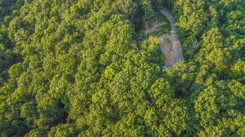 140 Mary Brown Lane Rockwood, TN 37854