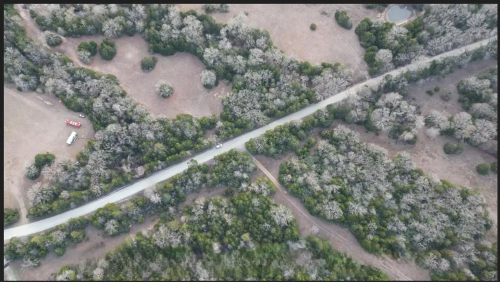 County Road 427 Normangee, TX 77871
