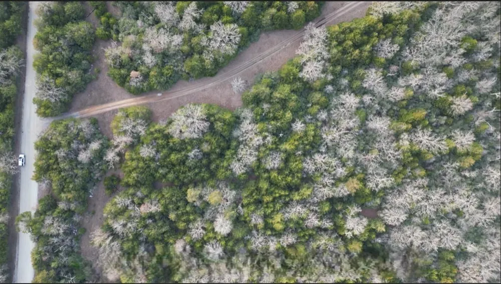 County Road 427 Normangee, TX 77871