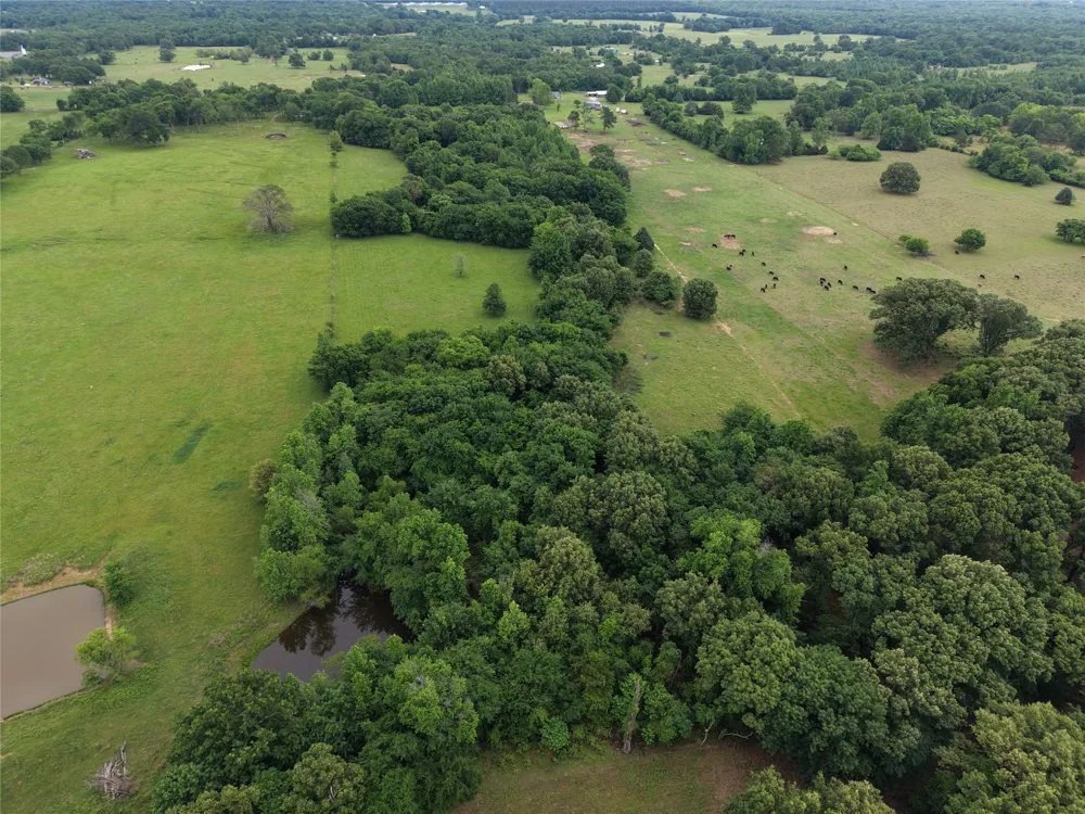 County Road 2437 Como, TX 75431