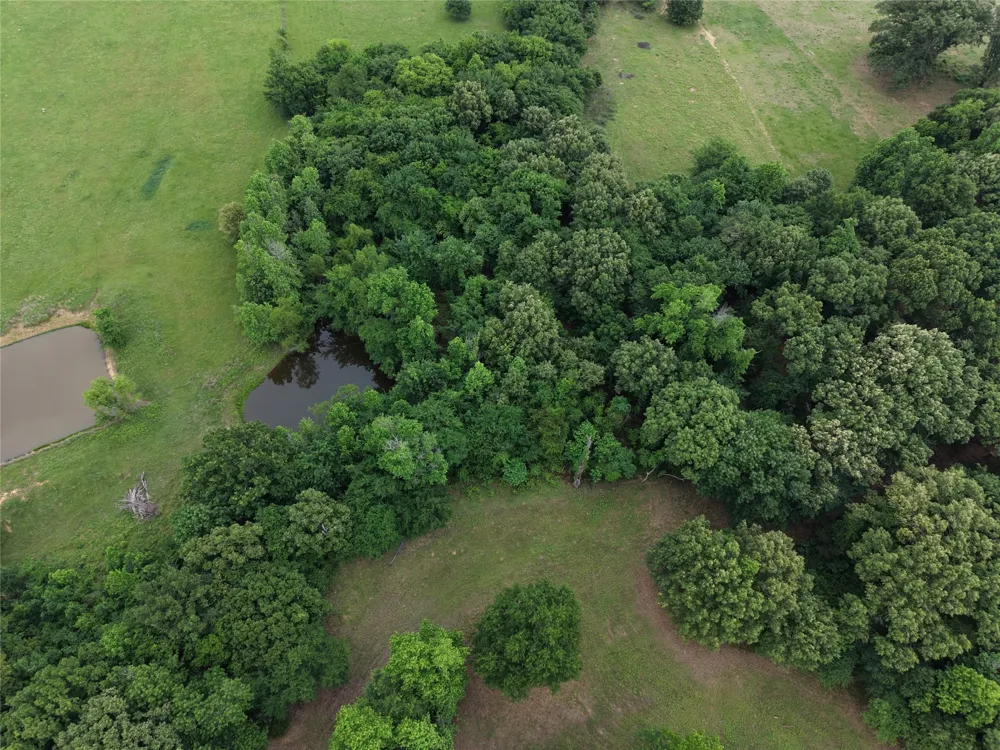 County Road 2437 Como, TX 75431