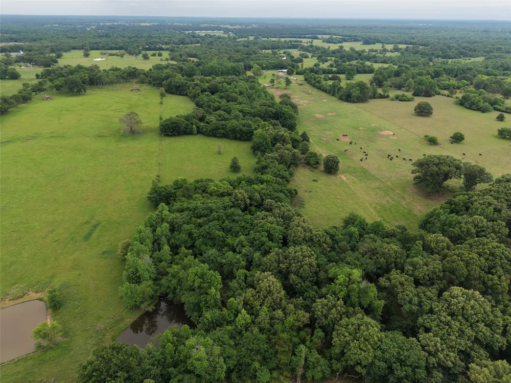 County Road 2437 Como, TX 75431