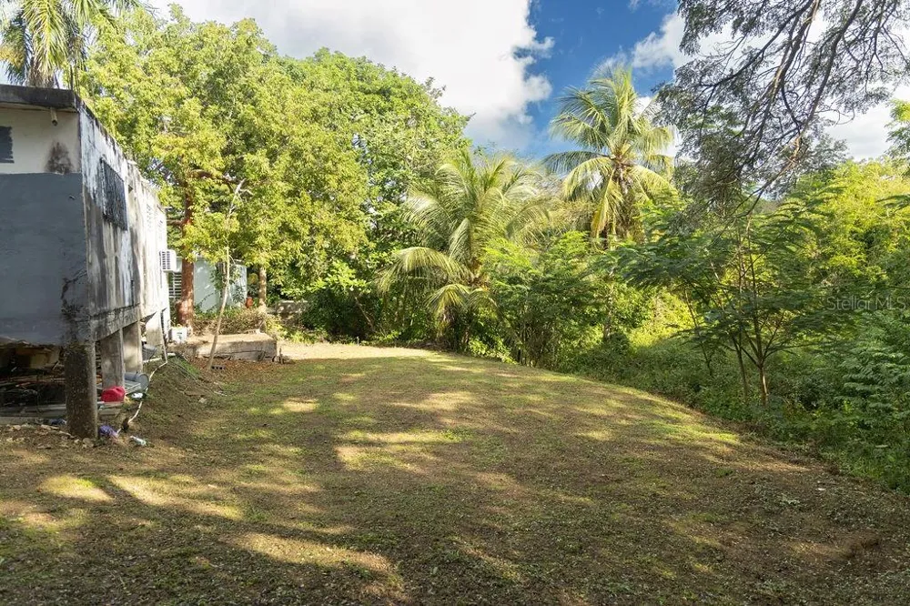 63 SECTOR VILLA BORINQUEN Vieques, PR 00765