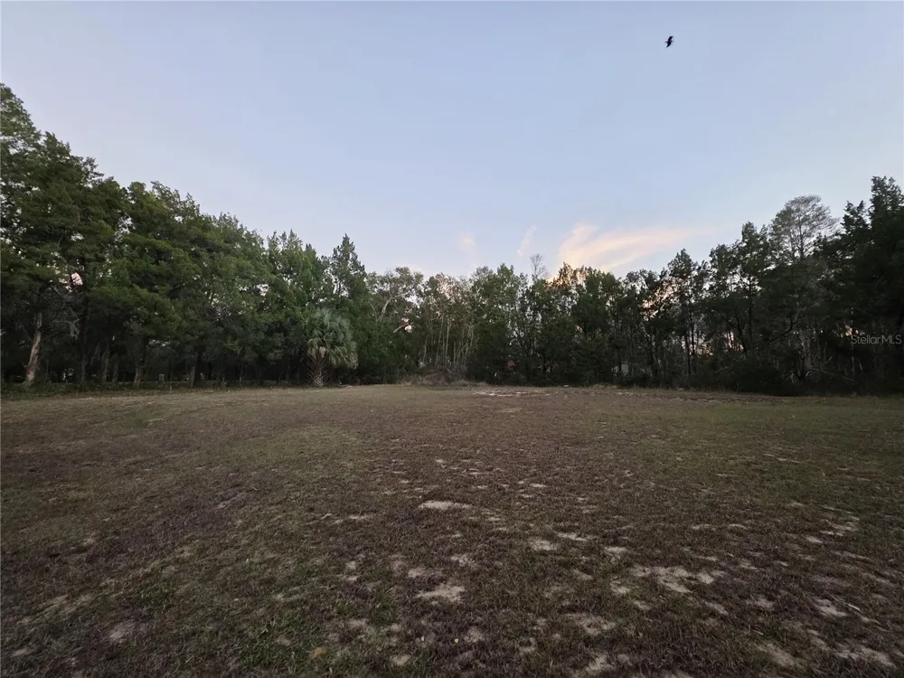 36014 LAKE UNITY NURSERY ROAD Fruitland Park, FL 34731