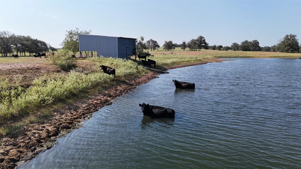 2039 County Road 326 Giddings, TX 78942